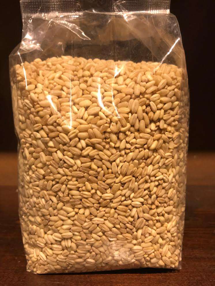 AŞURELİK BUĞDAY