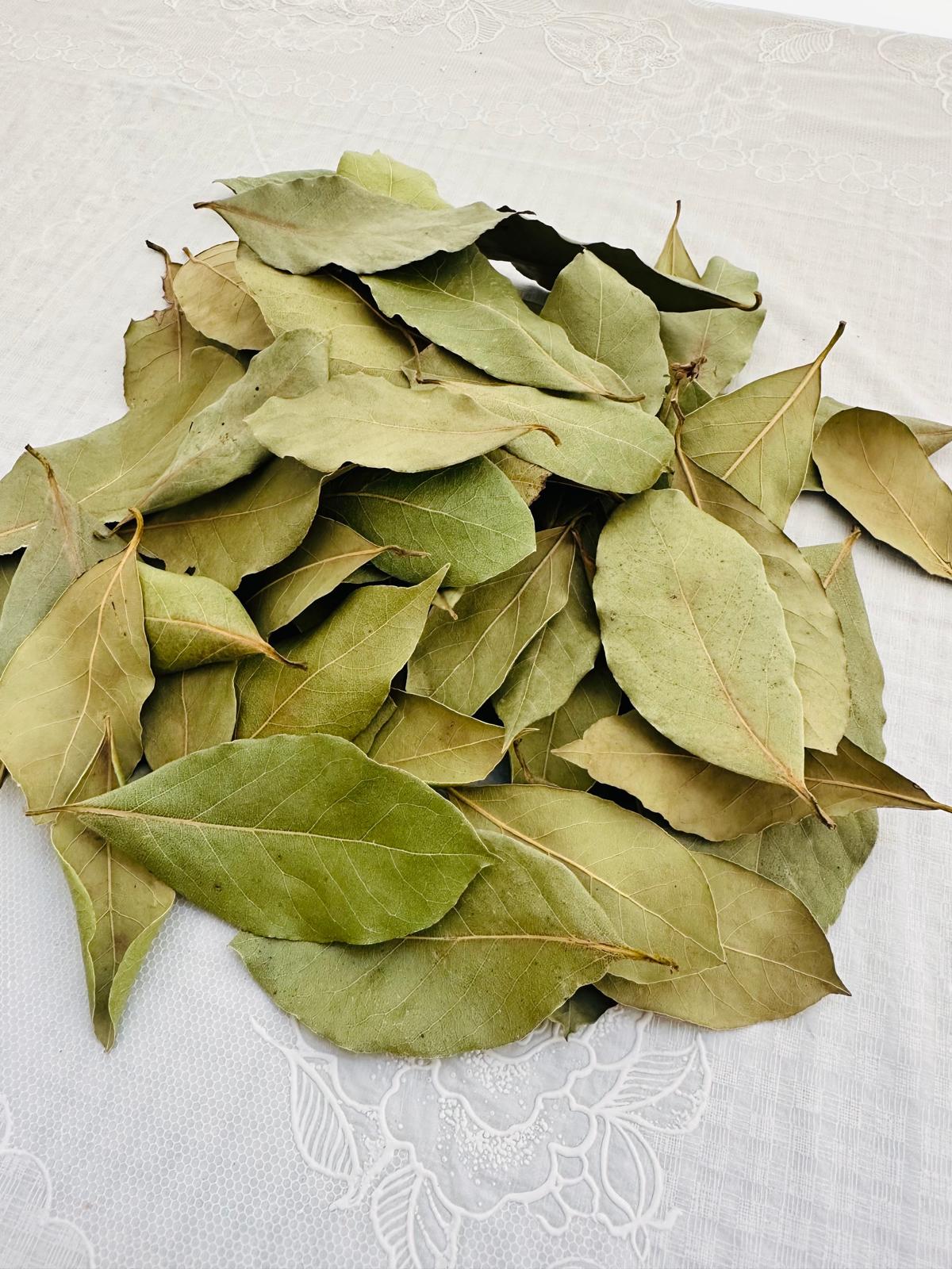 DEFNE YAPRAĞI
