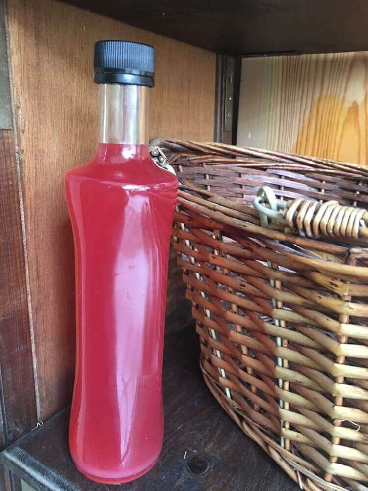 Kızılcık (kiren) Sirkesi